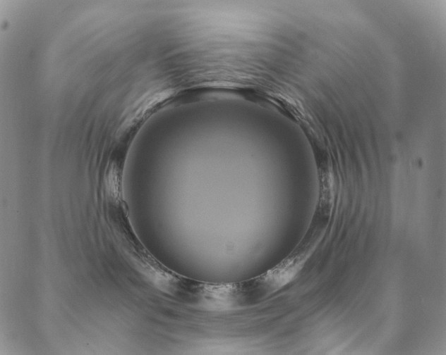 X0000089730143200706211443
