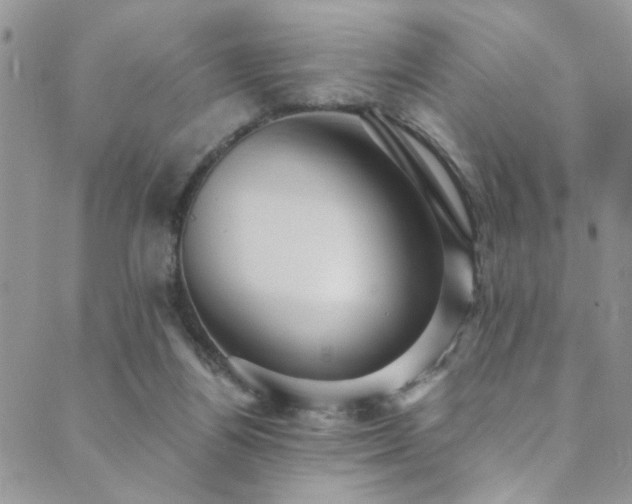 X0000089730164200706211442