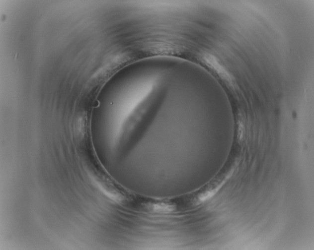 X0000089730165200706211442