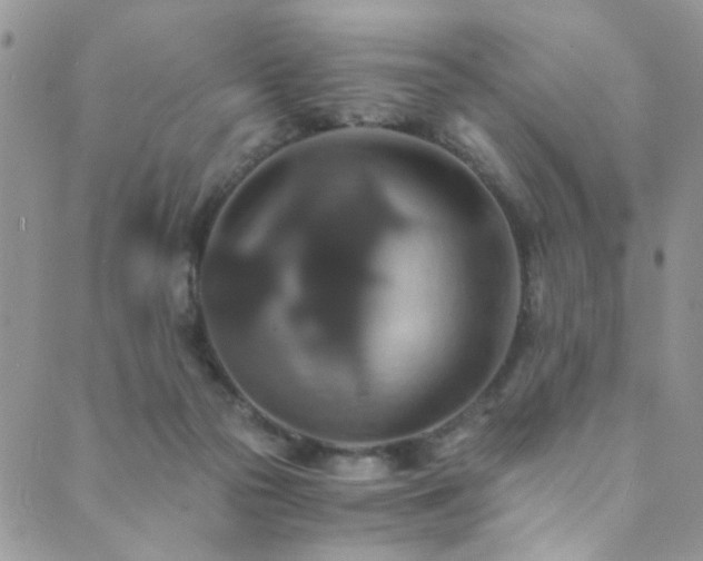 X0000089730169200706211442