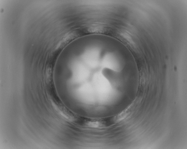 X0000089730171200706211442