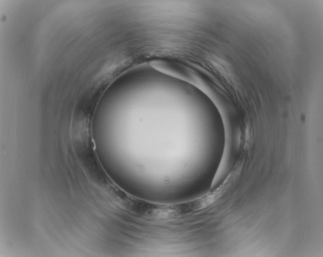 X0000089730172200706211442