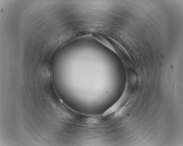 X0000089730176200706211443