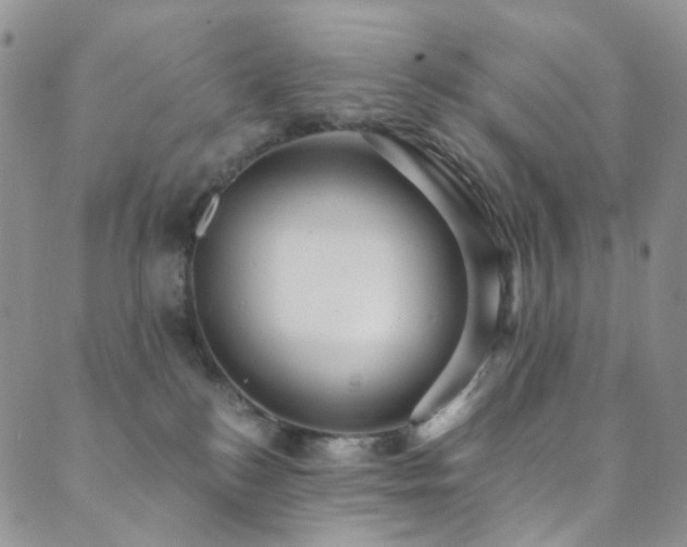 X0000089730184200706211443