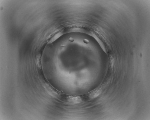 X0000089730185200706211443