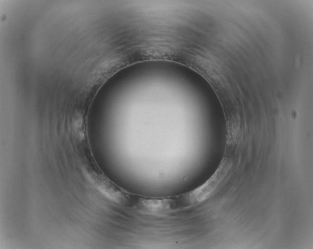 X0000089730187200706211443