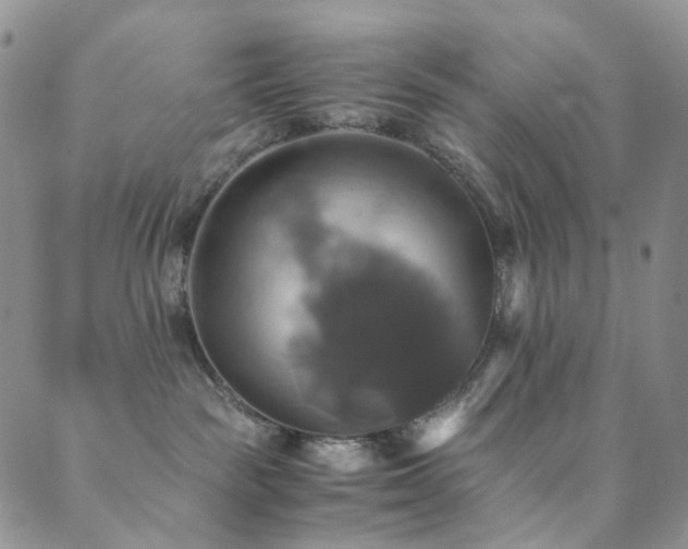 X0000089730189200706211443