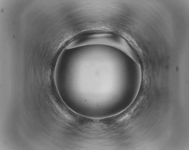 X0000089730201200706211442