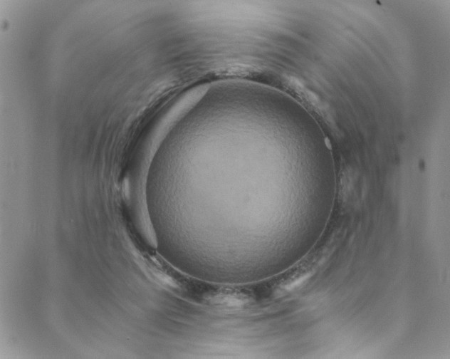 X0000089730209200706211442