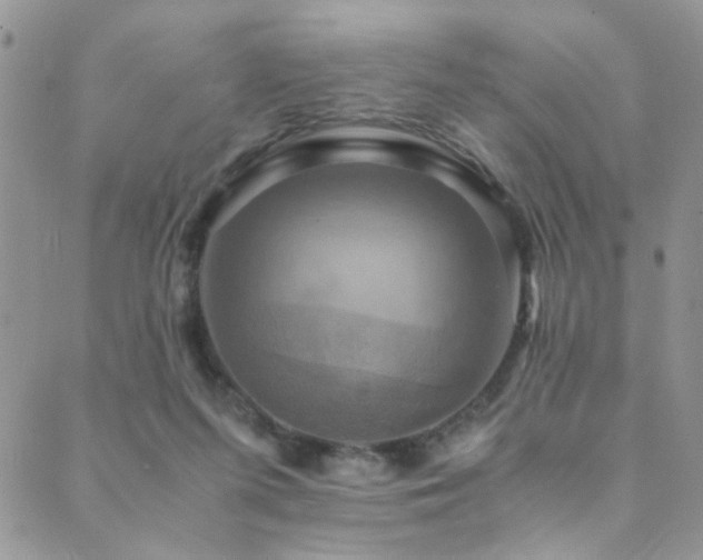X0000089730215200706211442