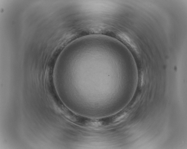 X0000089730217200706211442
