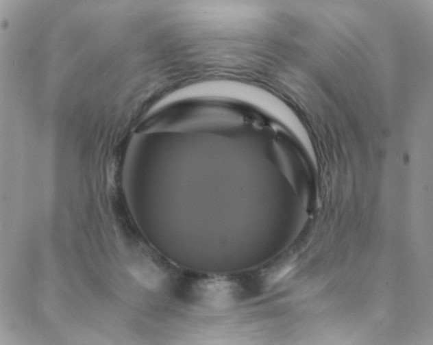 X0000089730219200706211442