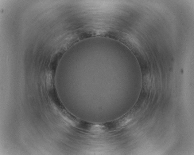 X0000089730222200706211442