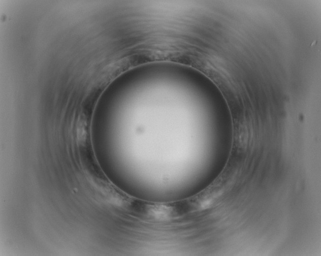 X0000089730226200706211441