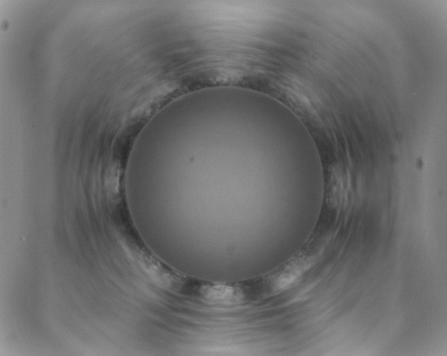 X0000089730230200706211441