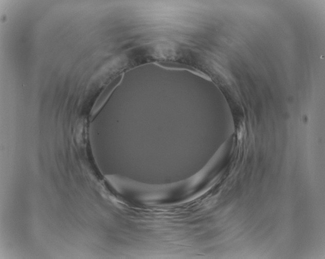 X0000089730233200706211441