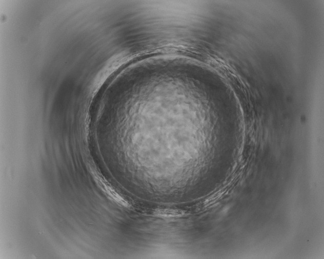 X0000089730242200706211440