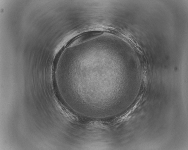 X0000089730244200706211440