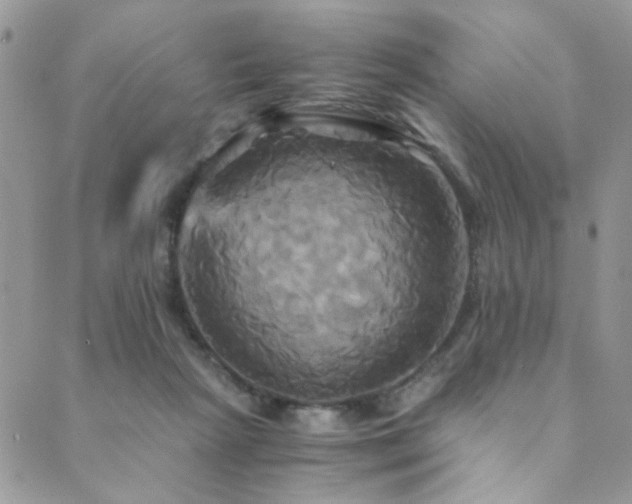 X0000089730265200706211441