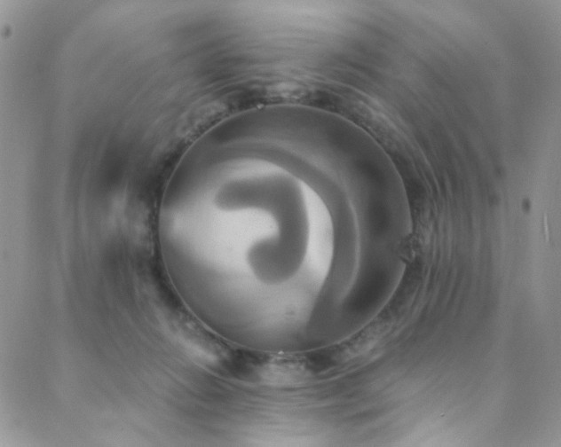 X0000089730270200706211441
