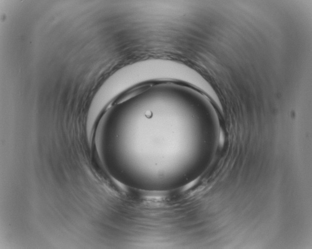 X0000089730280200706211441