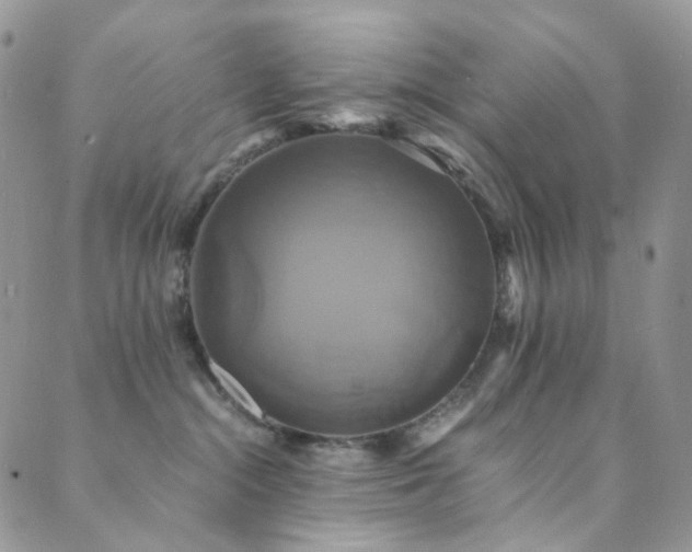 X0000089730284200706211441