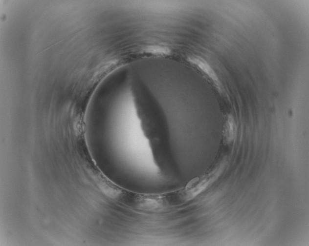 X0000089730285200706211441