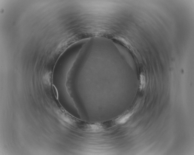 X0000089730286200706211441
