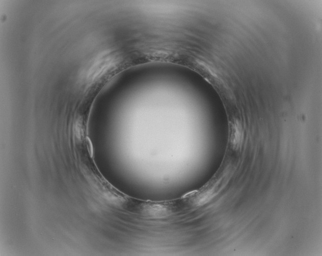 X0000089730287200706211441