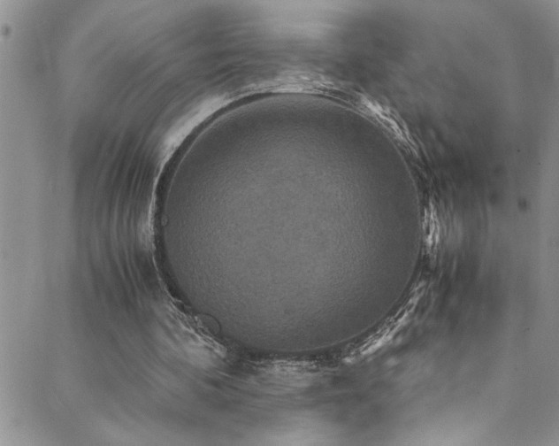 X0000089730292200706211440