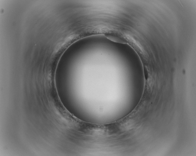 X0000089730306200706211440