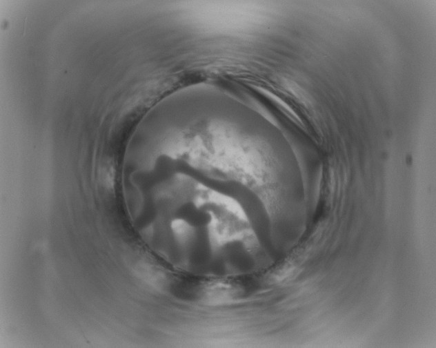 X0000089730315200706211440