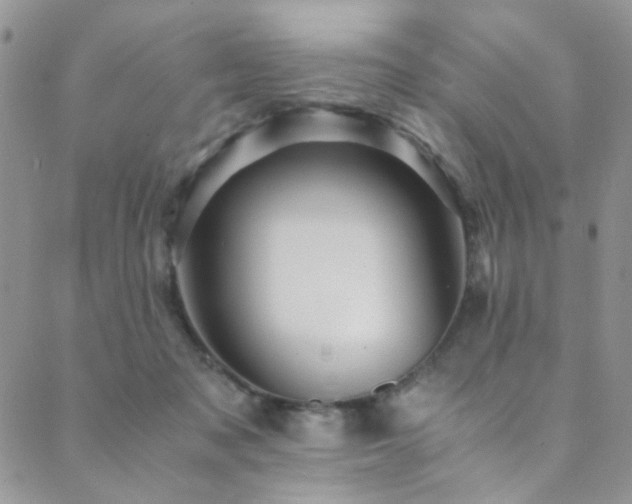 X0000089730317200706211440