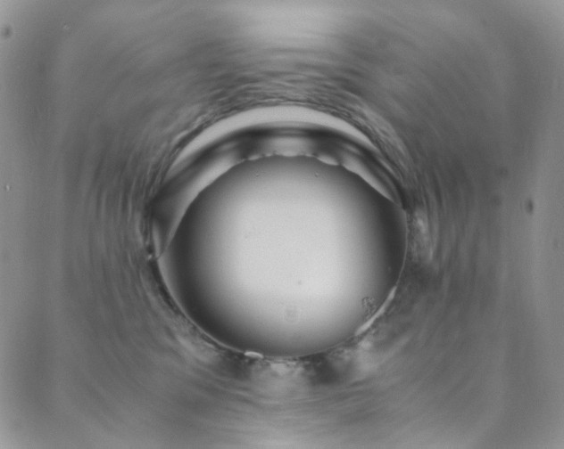 X0000089730329200706211440