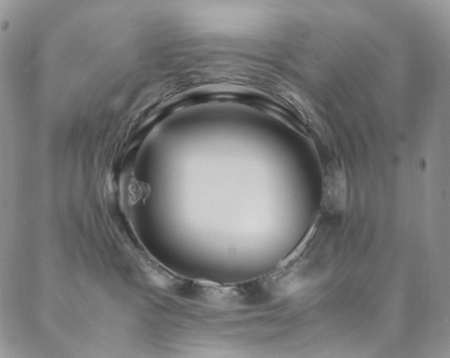 X0000089730333200706211440