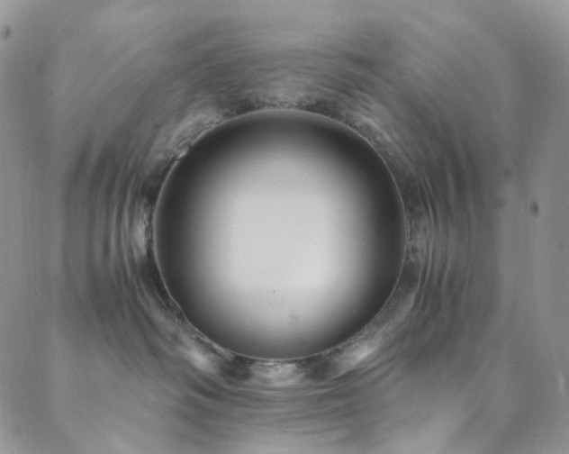 X0000089730334200706211440