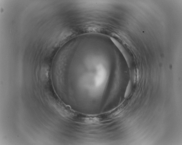 X0000089730363200706211439