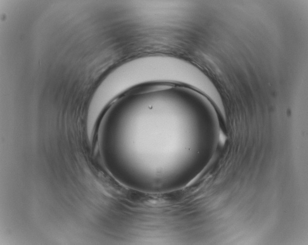 X0000089730364200706211439