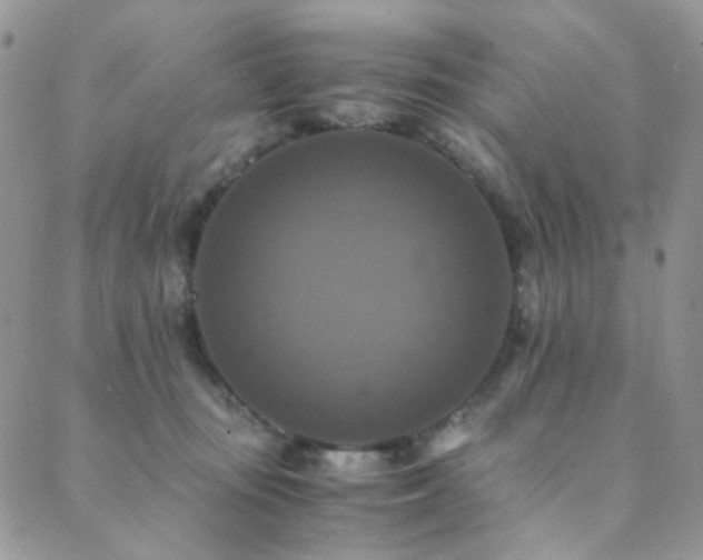 X0000089730371200706211439