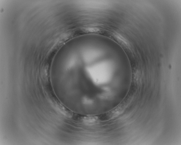 X0000089730373200706211439
