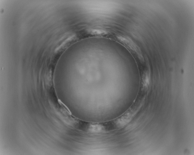 X0000089730376200706211440