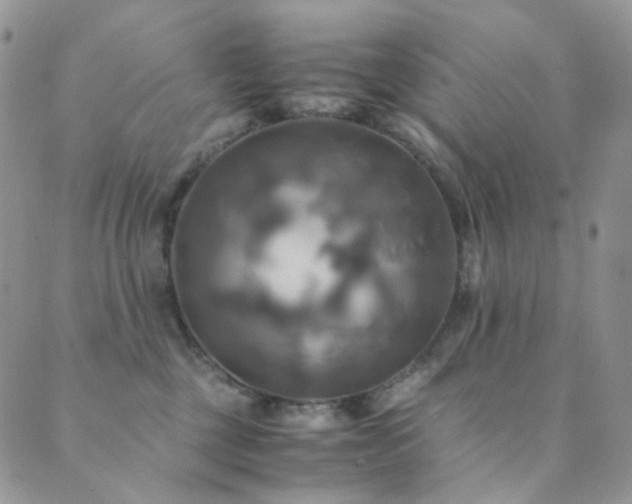 X0000089730377200706211440
