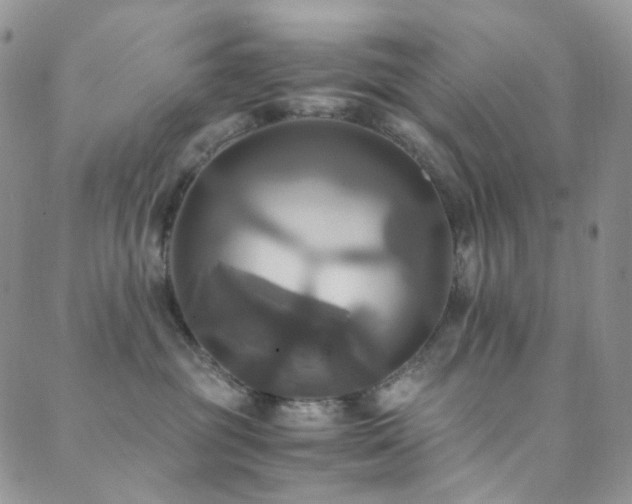 X0000089730381200706211440