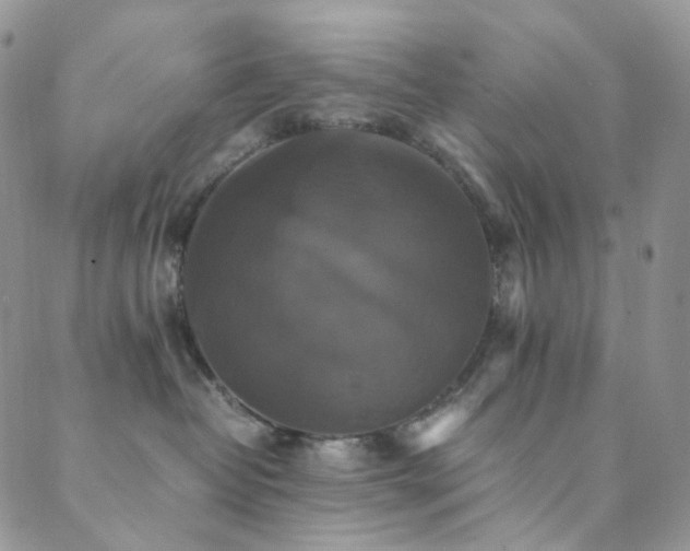 X0000089730382200706211440