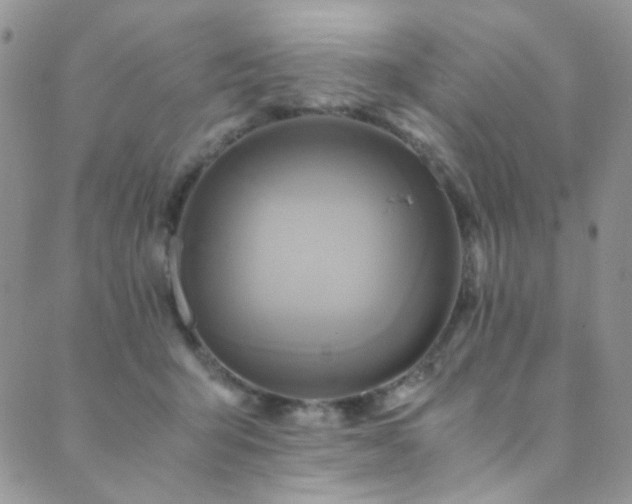 X0000089730415200706211438