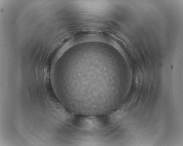 X0000089730420200706211438