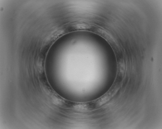 X0000089730422200706211438