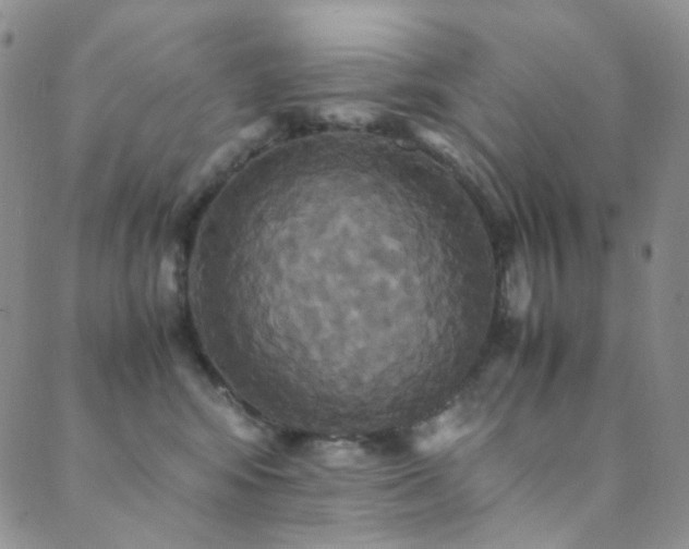 X0000089730424200706211438