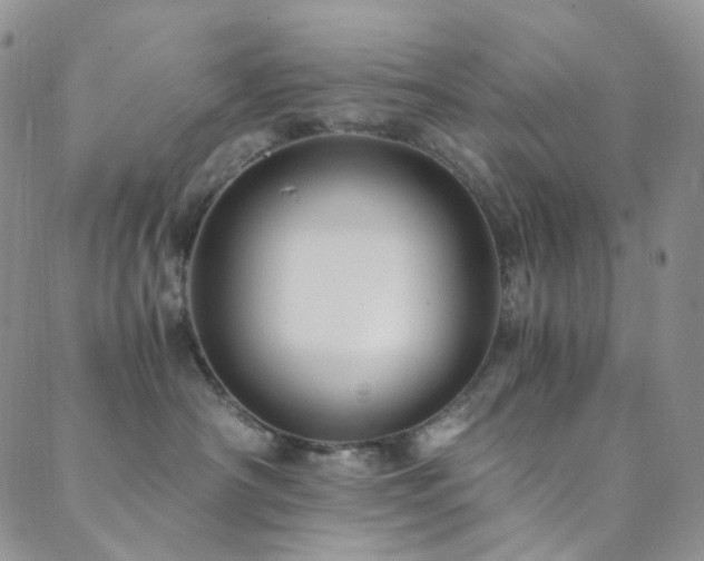 X0000089730430200706211438