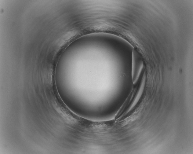 X0000089730446200706211438
